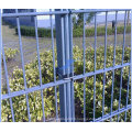 PVC Coated Double Wire Fence (TS-J04)